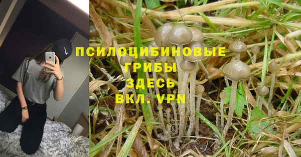 тгк Балахна
